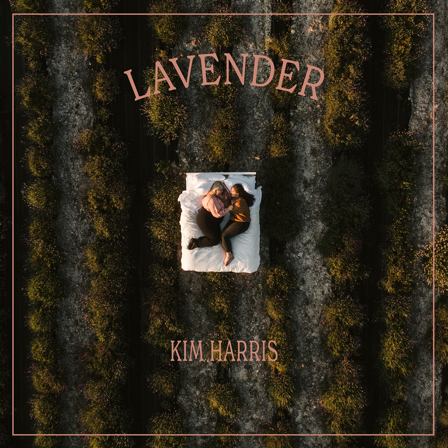 Kim Harris - Lavender